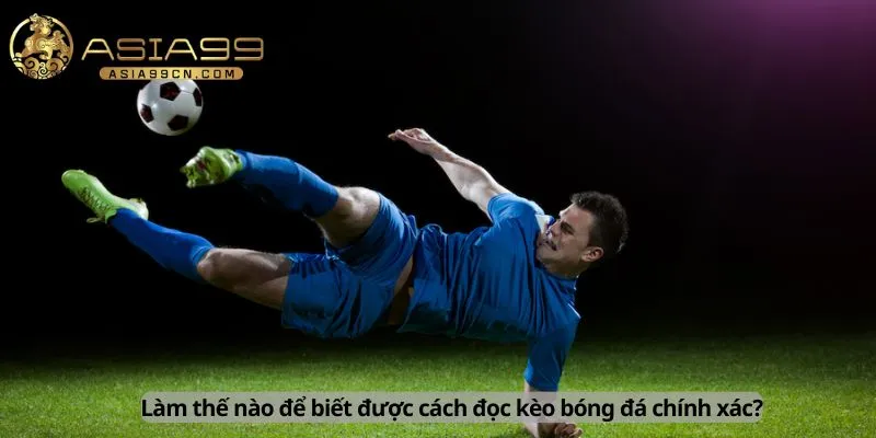 Cách đọc kèo bóng đá chính xác