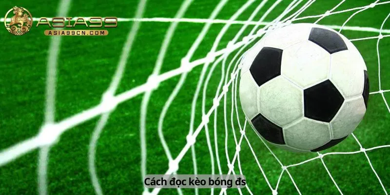 Cách đọc kèo bóng đá