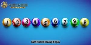 Cách nuôi lô khung 1 ngày