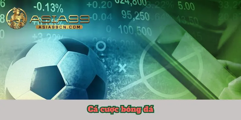 cá cược bóng đá