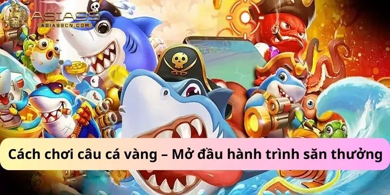 Cách chơi câu cá vàng – Mở đầu hành trình săn thưởng