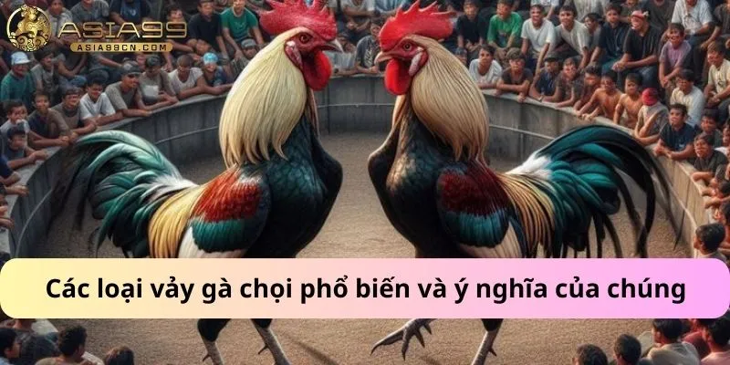 Các loại vảy gà chọi phổ biến và ý nghĩa của chúng